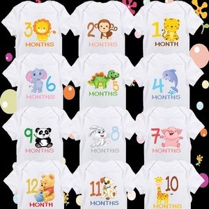 12 months bodysuit set, onesies set, newborn set